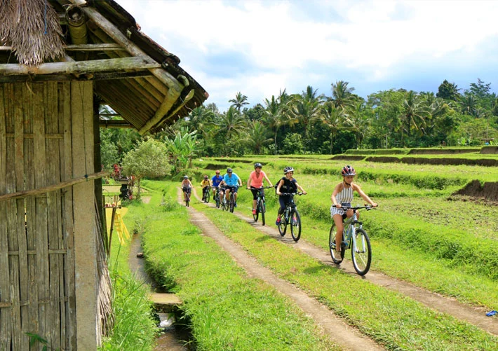 Balinese Village Cycling Tour 